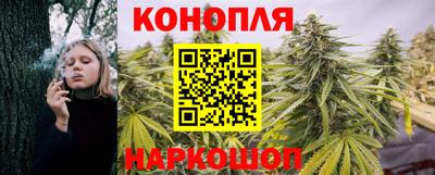 Альфа ПВП Тулун