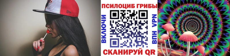 Псилоцибиновые грибы Psilocybe продажа наркотиков Георгиевск